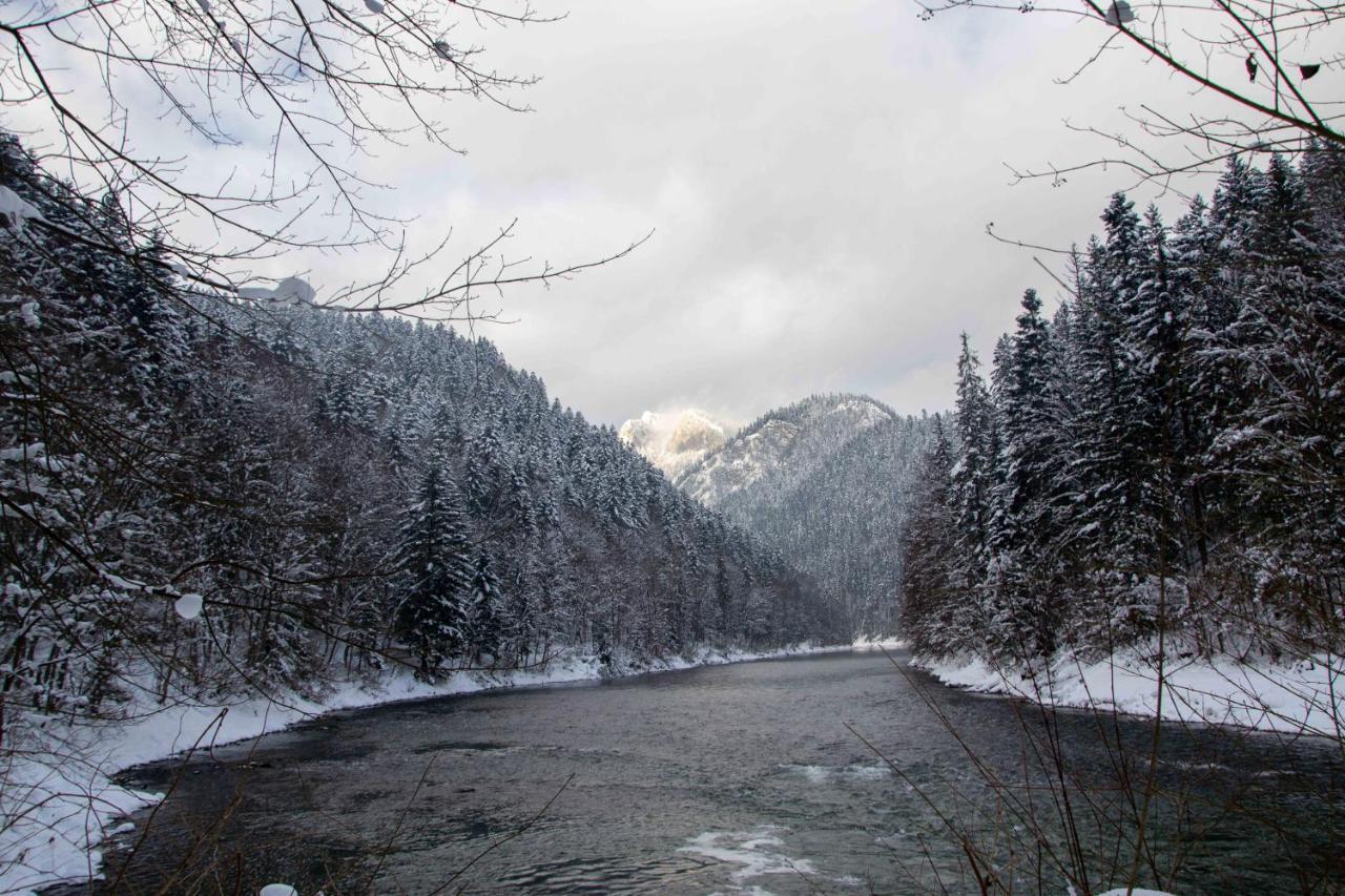 Ubytovanie U Jozefa Červený Kláštor Exterior foto